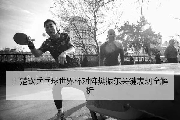 王楚钦乒乓球世界杯对阵樊振东关键表现全解析 - yunding